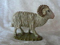 18. Schaf Bock